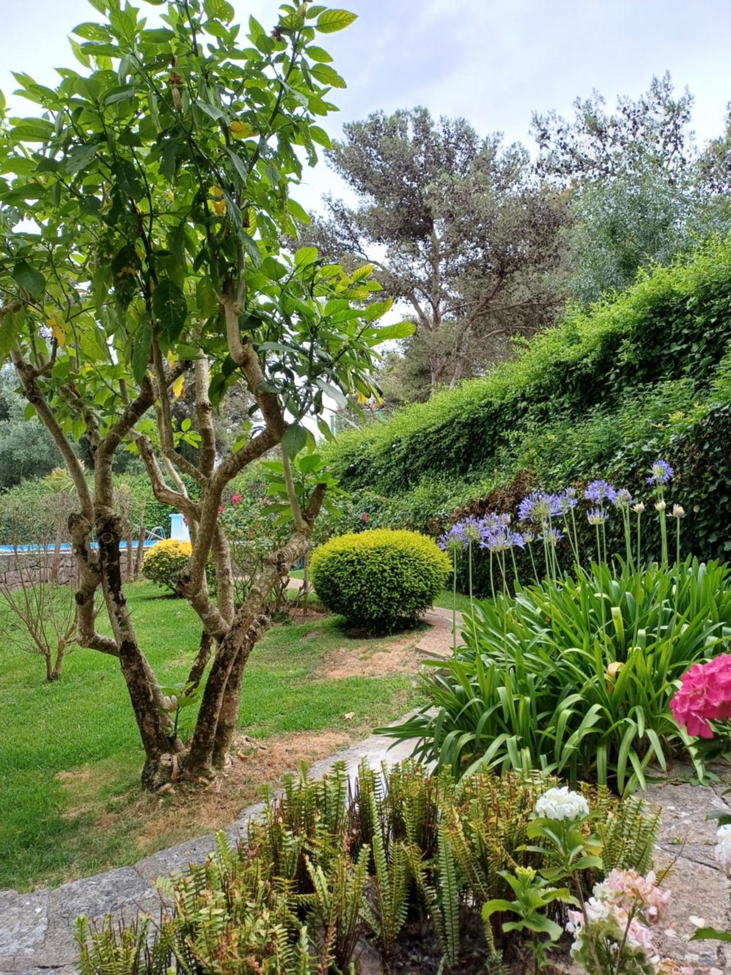 Appartment With Swiming Pool Κασκαΐς Εξωτερικό φωτογραφία